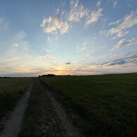 1,5-Zimmer Mit Duschbad, Gartenblick, Kuehlschrank 海罗德堡 外观 照片