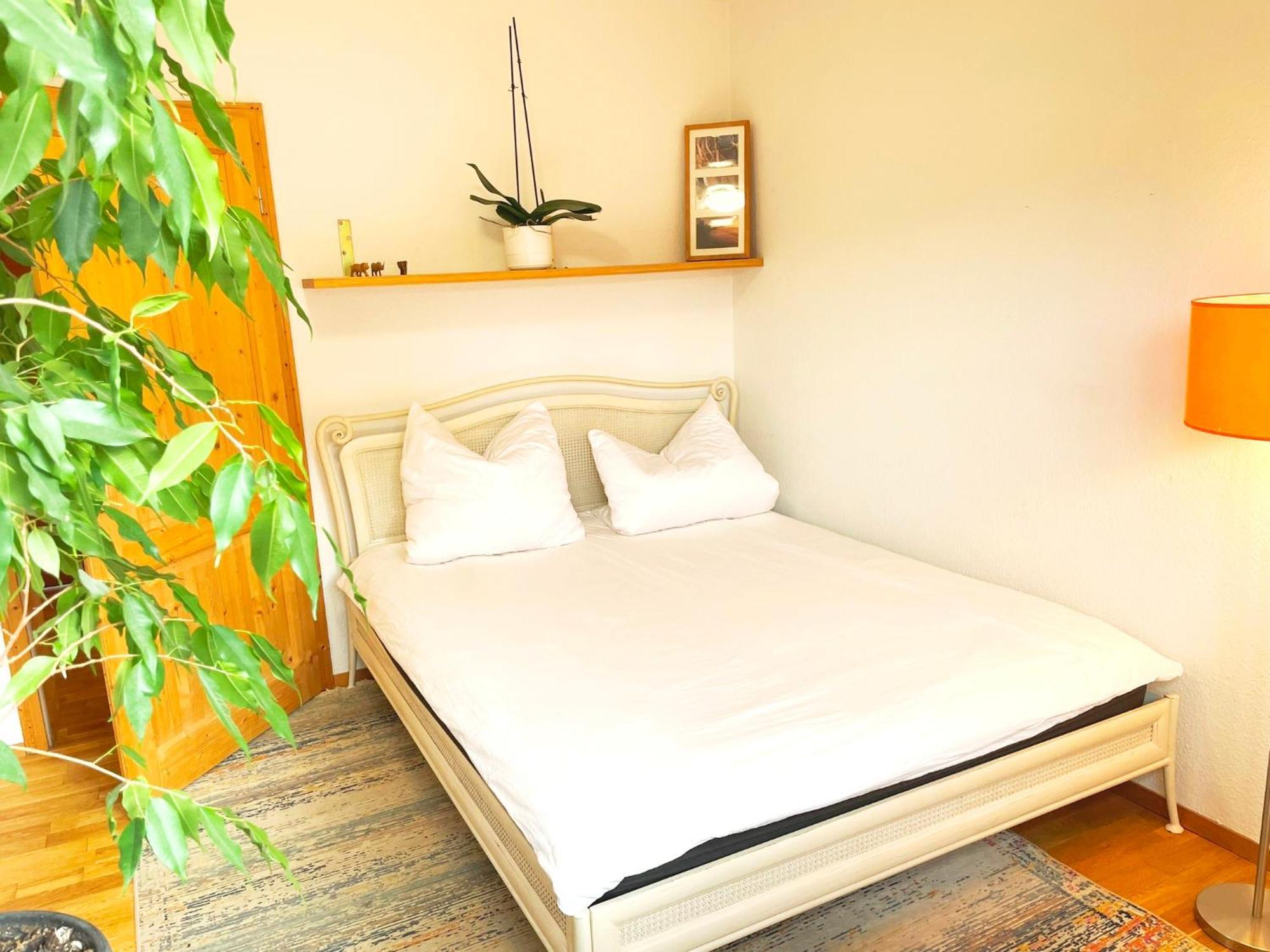 1,5-Zimmer Mit Duschbad, Gartenblick, Kuehlschrank 海罗德堡 外观 照片